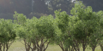 Shrubs Collection vol 241-Blender