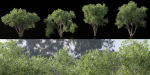 Shrubs Collection vol 241-Blender