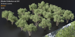Shrubs Collection vol 241-Blender