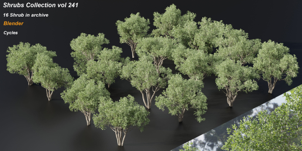 Shrubs Collection vol 241-Blender