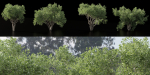 Shrubs Collection vol 241-Blender