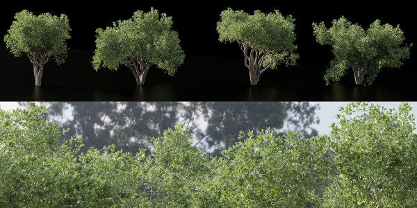 Shrubs Collection vol 241-Blender