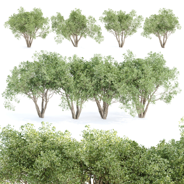 Shrubs Collection vol 242-3DModel