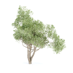 Shrubs Collection vol 243-3DModel