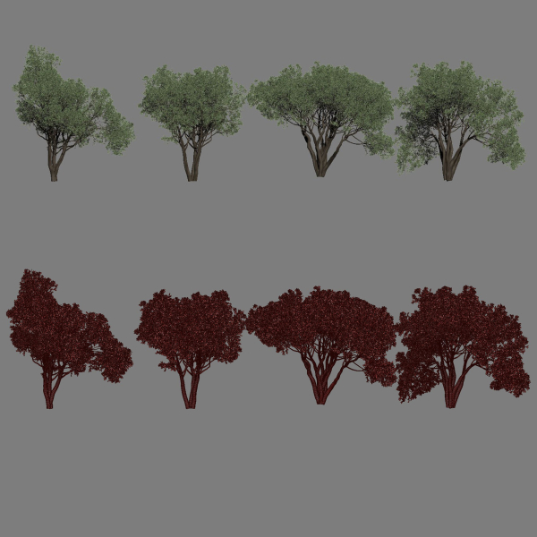 Shrubs Collection vol 243-3DModel