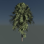 Simple tree 24L06