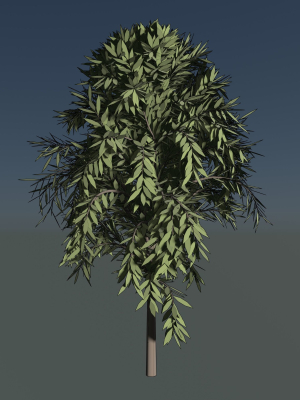 Simple tree 24L06