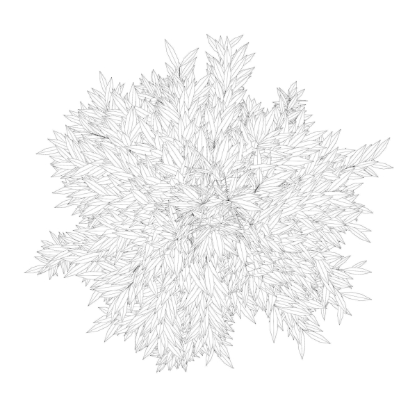 Simple tree 24L06