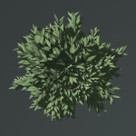Simple tree 24L06