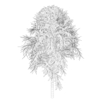 Simple tree 24L06