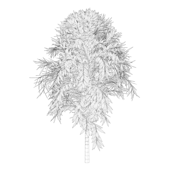 Simple tree 24L06
