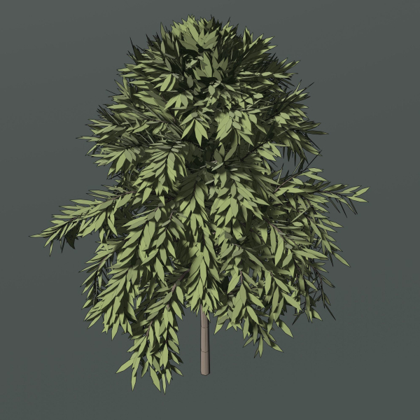 Simple tree 24L06