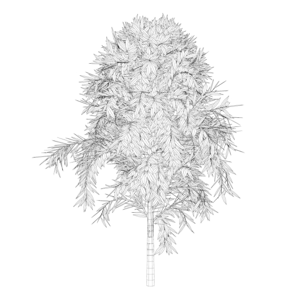 Simple tree 24L06