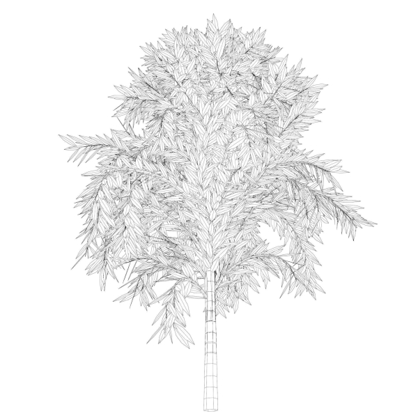 Simple tree 24L06