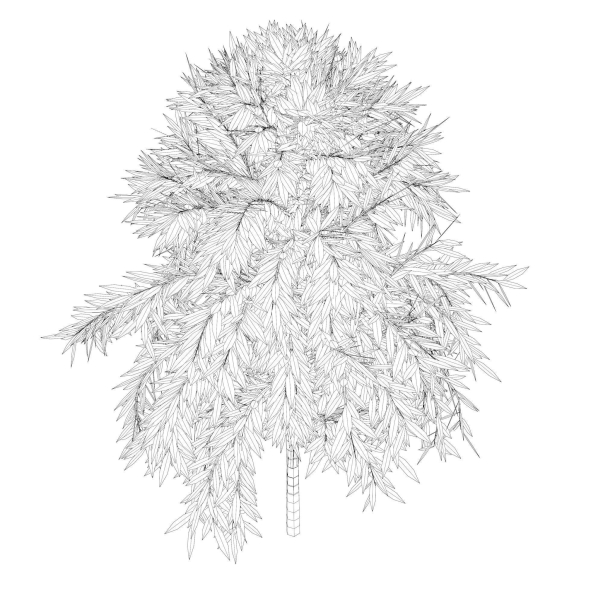 Simple tree 24L06