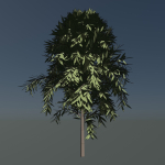 Simple tree 24L06