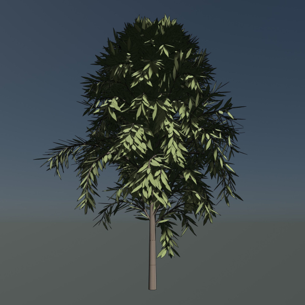 Simple tree 24L06