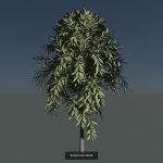 Simple tree