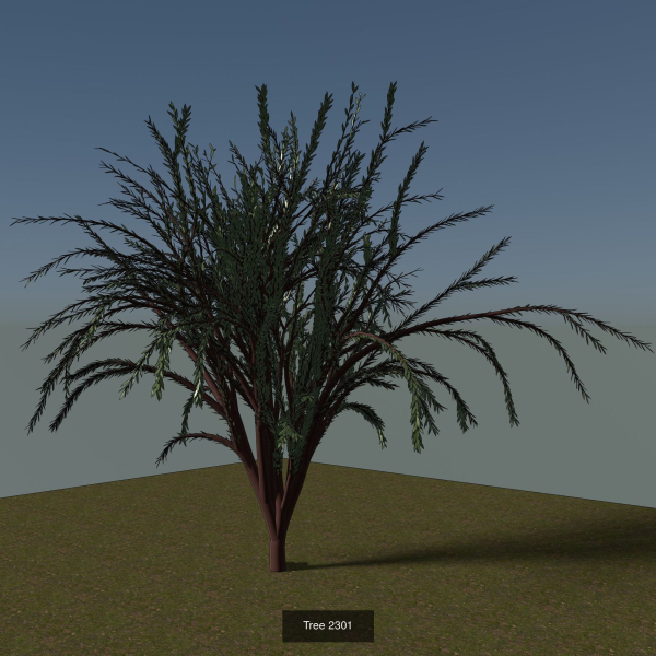 Simple tree