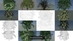 Simple tree