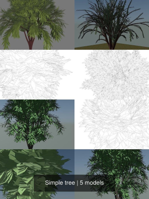Simple tree