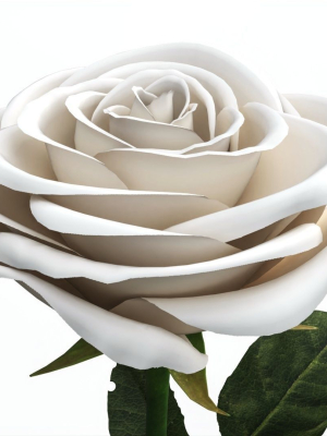 single-beautiful-white-rose-3d-model-4a3b270232