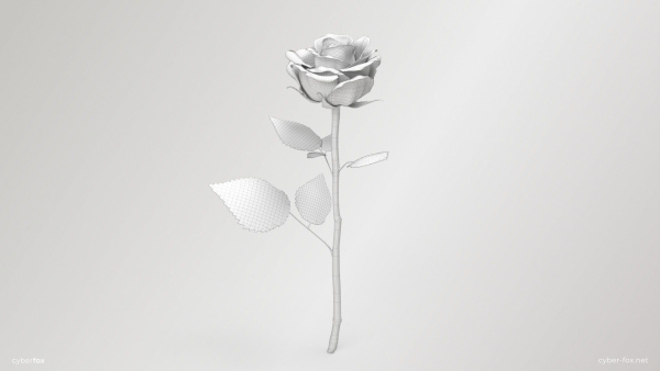 Single Red Rose