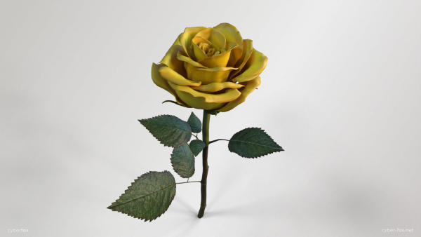 Single Yellow Rose