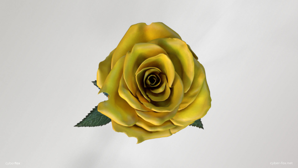 Single Yellow Rose