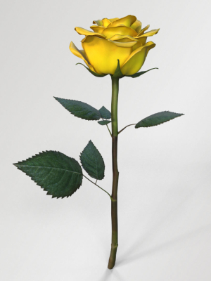single-yellow-rose-3d-model-9a045a1289