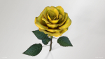 Single Yellow Rose
