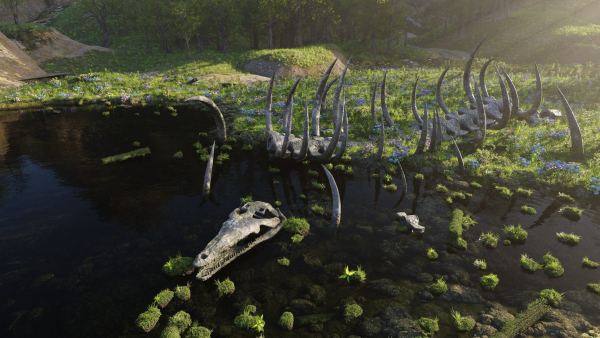 Skeleton Scene