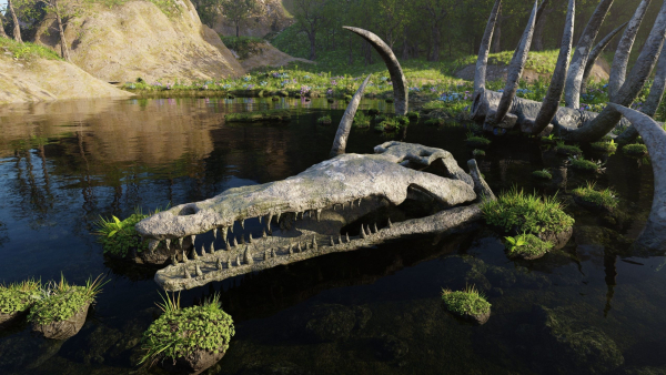 Skeleton Scene