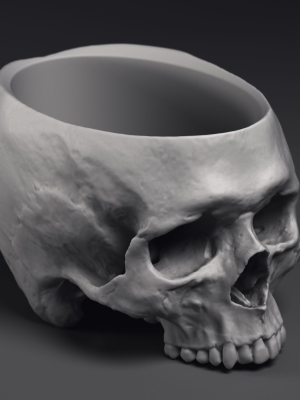 skull-flower-pot-printable-3d-model-3d-model-obj-fbx-stl-ztl