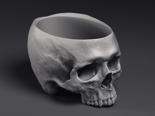 Skull Flower Pot Printable 3D Model