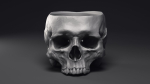Skull Flower Pot Printable 3D Model