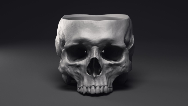 Skull Flower Pot Printable 3D Model