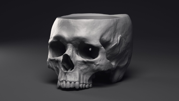 Skull Flower Pot Printable 3D Model