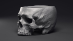 Skull Flower Pot Printable 3D Model