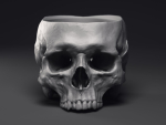 Skull Flower Pot Printable 3D Model