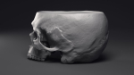 Skull Flower Pot Printable 3D Model