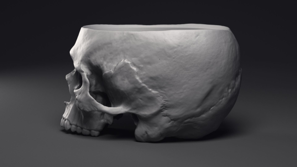 Skull Flower Pot Printable 3D Model