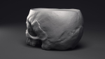 Skull Flower Pot Printable 3D Model