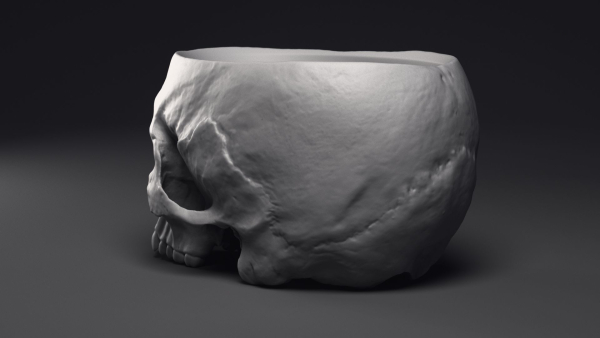 Skull Flower Pot Printable 3D Model