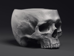Skull Flower Pot Printable 3D Model