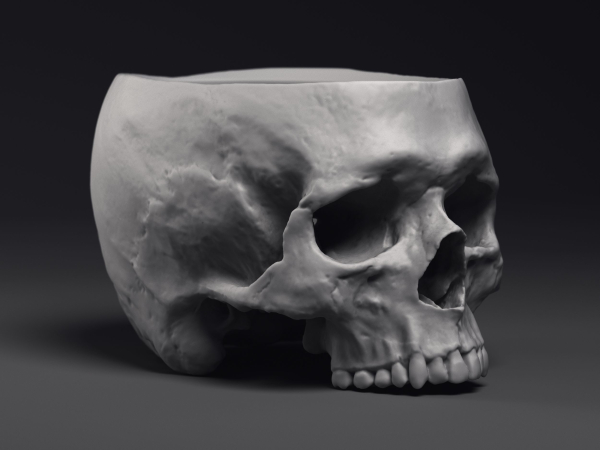 Skull Flower Pot Printable 3D Model