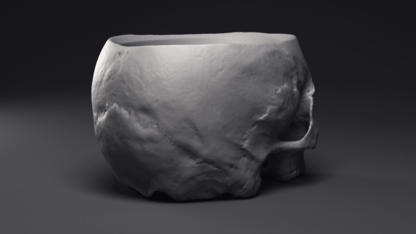 Skull Flower Pot Printable 3D Model