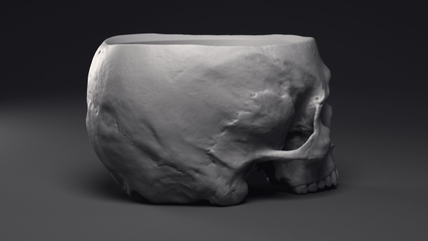 Skull Flower Pot Printable 3D Model