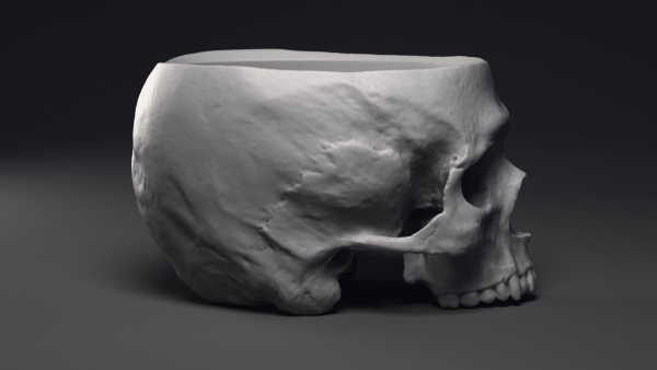 Skull Flower Pot Printable 3D Model