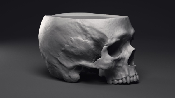 Skull Flower Pot Printable 3D Model